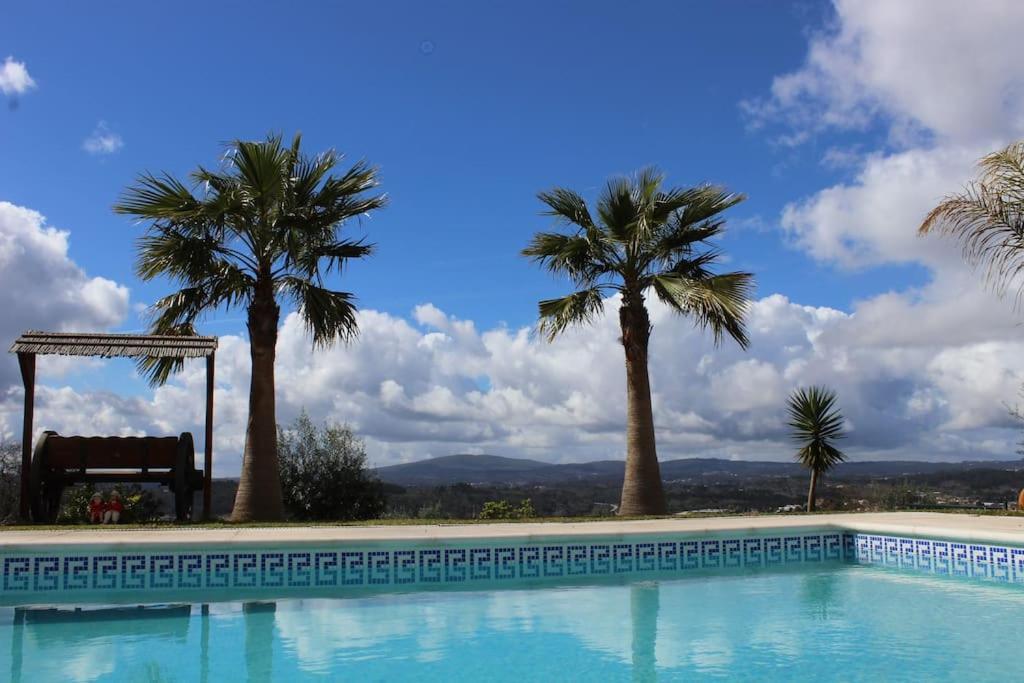 Quinta Dos Silvas - Piscina Villa Ansiao Bagian luar foto