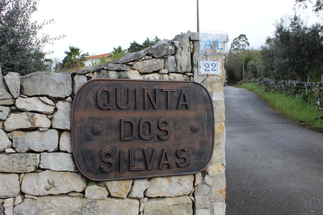Quinta Dos Silvas - Piscina Villa Ansiao Bagian luar foto