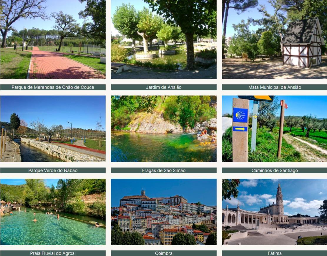 Quinta Dos Silvas - Piscina Villa Ansiao Bagian luar foto
